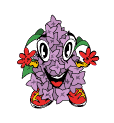 Lavande