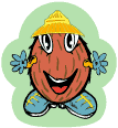 Noix de coco