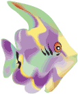 Lavande